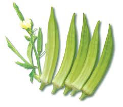 Đậu bắp (500gr)