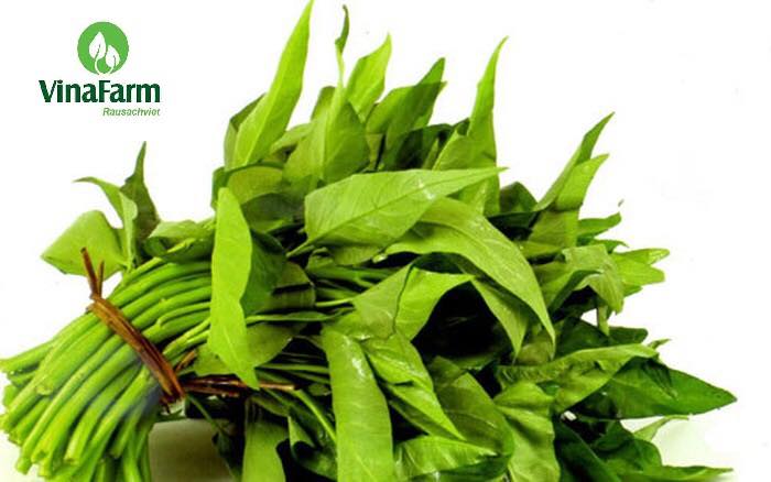 Rau muống hạt (1kg)