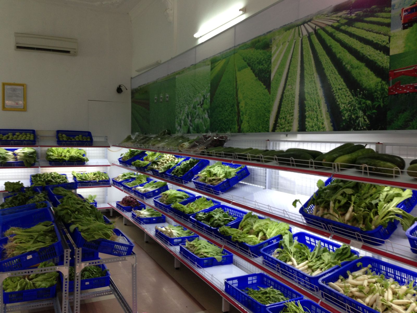 Gian nan trồng rau sạch