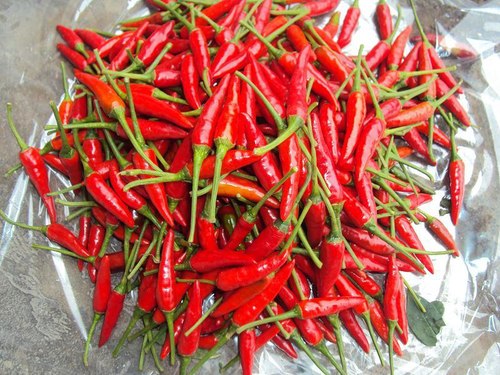 Ớt đỏ nhỏ (500gr)