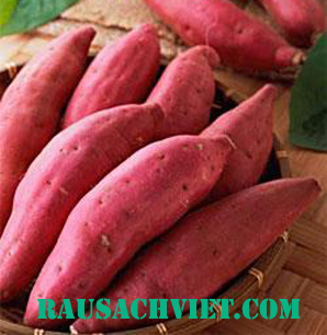Khoai Lang (500gr)