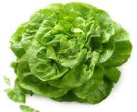 Rau xà lách Romain(500gr)