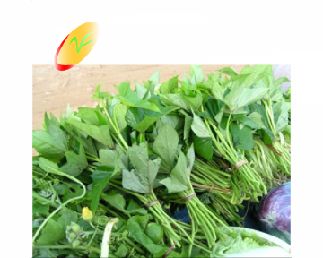 Rau lang (500gr)