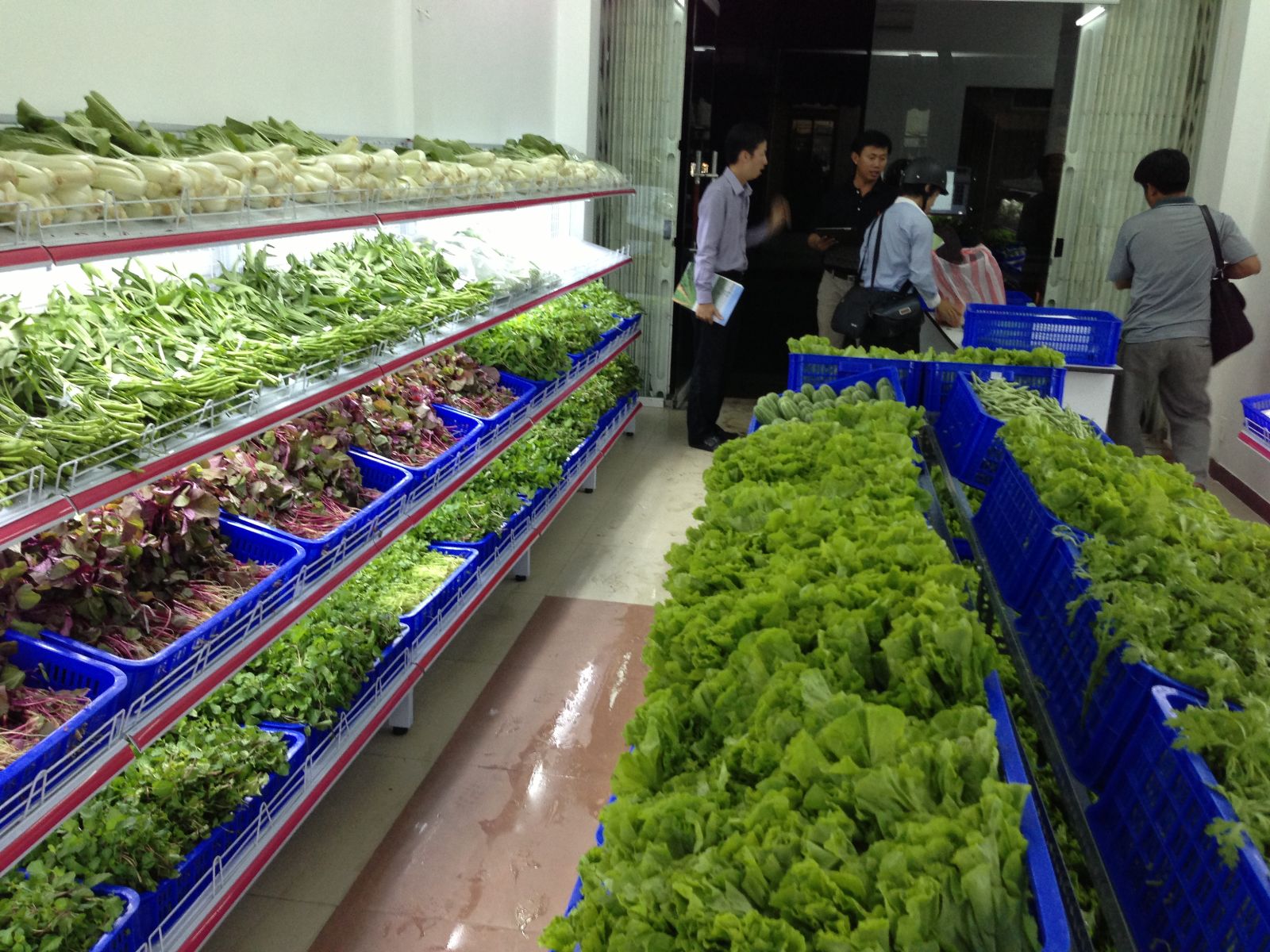 Khai trương cửa hàng rau sạch đầu tiên tại Đà Nẵng