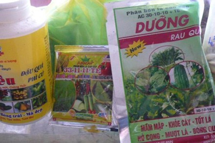 Rau muống lớn siêu tốc nhờ phun thuốc 8.000 đồng/gói