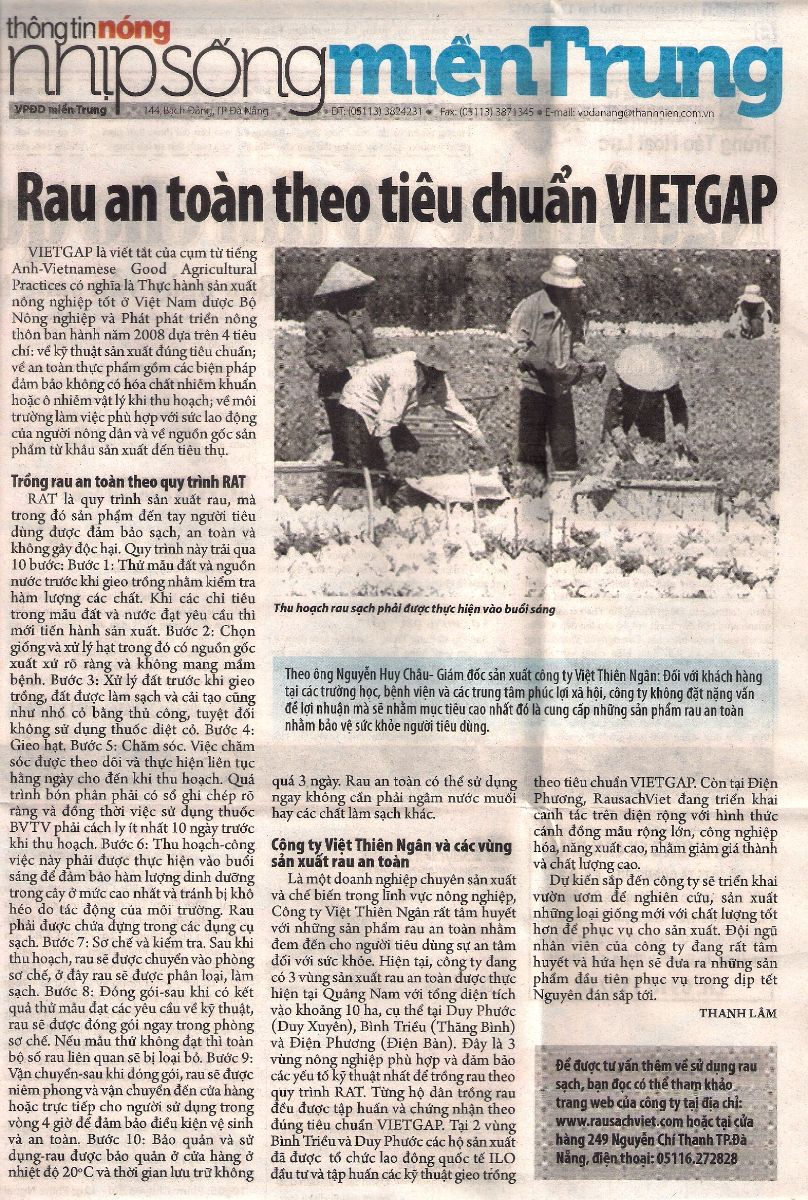 Rau an toàn theo tiêu chuẩn VIETGAP( nhịp sống miền trung)