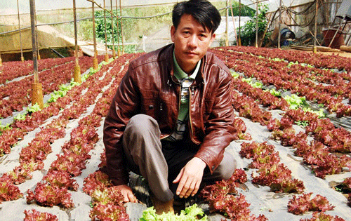 Kiếm bạc tỷ nhờ rau 'công nghệ cao'