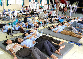 Rau bẩn- những góc nhìn đáng sợ (11/03/2013)