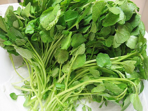 Món ăn đẹp da từ cà rốt và cải xoong (08/03/2013)