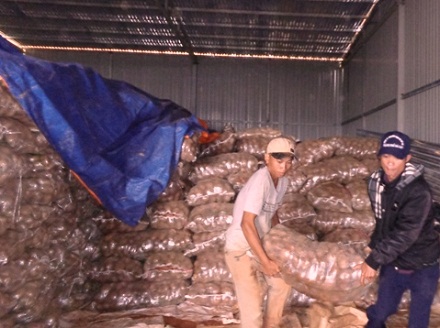26 tấn khoai tây Trung Quốc bị tiêu hủy vì chứa chất độc hại