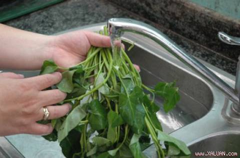 Mẹo rửa rau thật sạch và an toàn cho các bà nội trợ (12/03/2013)