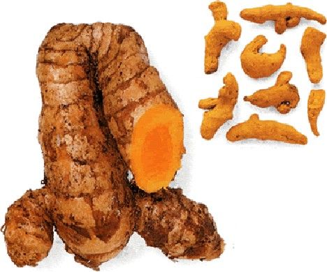 Thực phẩm tự nhiên giúp chữa bệnh