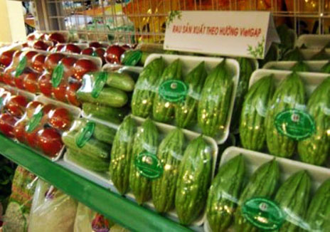 60 tấn rau sạch tung ra thị trường mỗi ngày