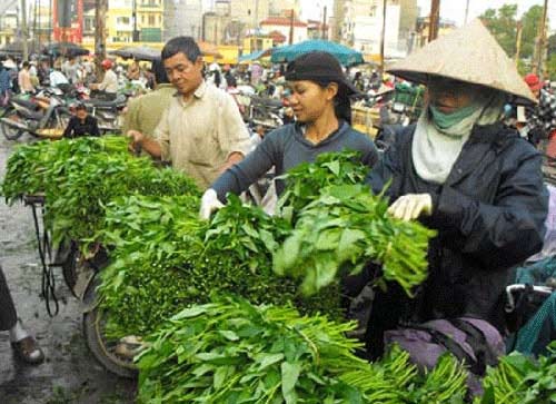 Rước bệnh vì... rau bẩn (07/03/2013)