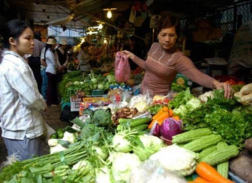 Kinh hoàng rau xanh chứa hóa chất độc hại