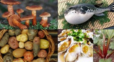 Những loại thực phẩm 