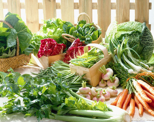 Phun thuốc vào rau quả, tự nông dân không dám ăn