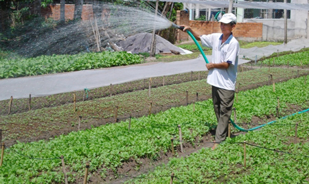 Xây 3 căn nhà đẹp nhờ trồng rau sạch